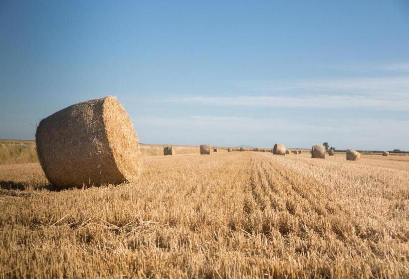 Orto De  Mandorli B&b