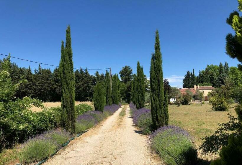 پانسیون La Caumontoise