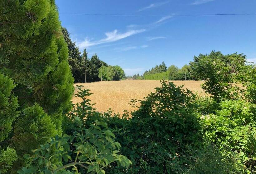 پانسیون La Caumontoise