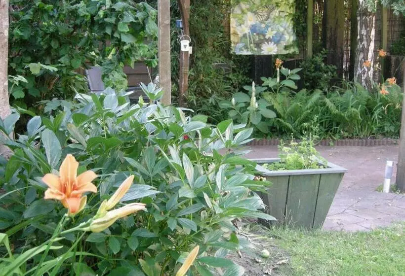 B&b Overnachting De Margriet