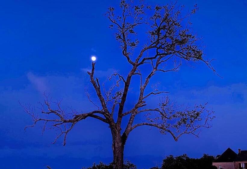 Bed and Breakfast Domaine De Cazal Chambres D Hôtes Avec Piscine Au Cœur De 26 Hectares De Nature Préservée
