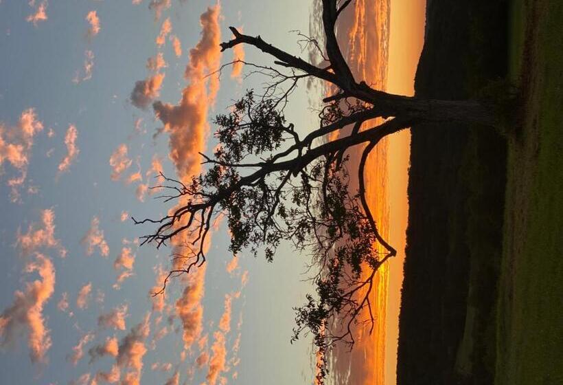 Bed and Breakfast Domaine De Cazal Chambres D Hôtes Avec Piscine Au Cœur De 26 Hectares De Nature Préservée