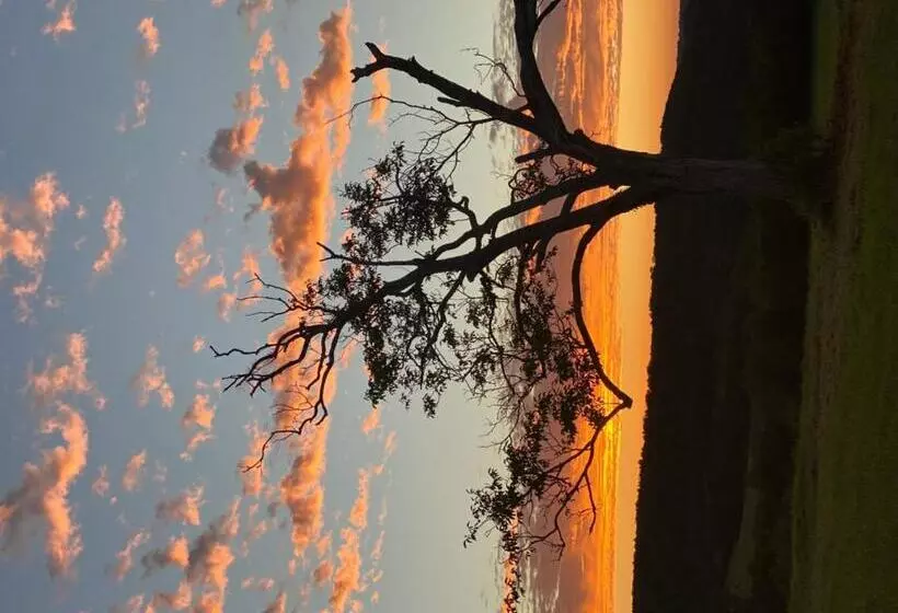 ベッドアンドブレックファースト Domaine De Cazal   Chambres D Hôtes Avec Piscine Au Cœur De 26 Hectares De Nature Préservée