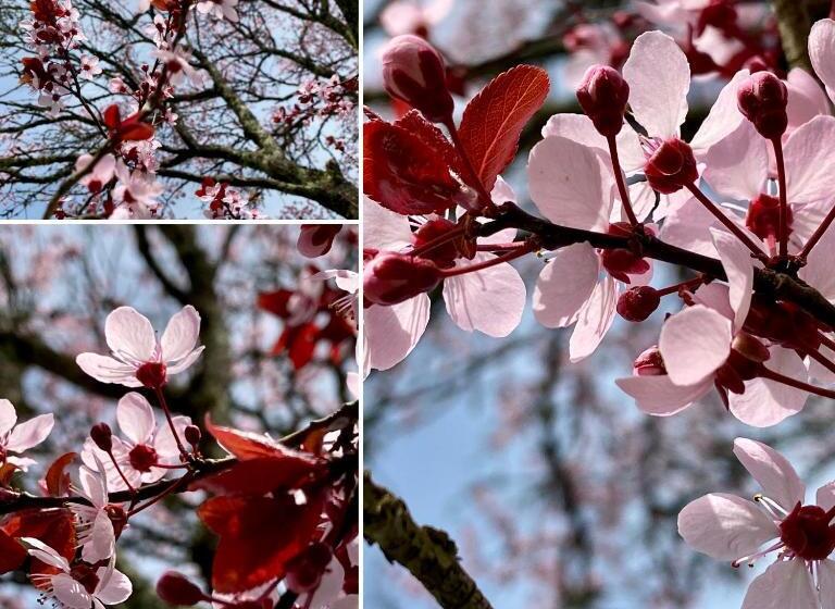 Bed and Breakfast Domaine De Cazal Chambres D Hôtes Avec Piscine Au Cœur De 26 Hectares De Nature Préservée