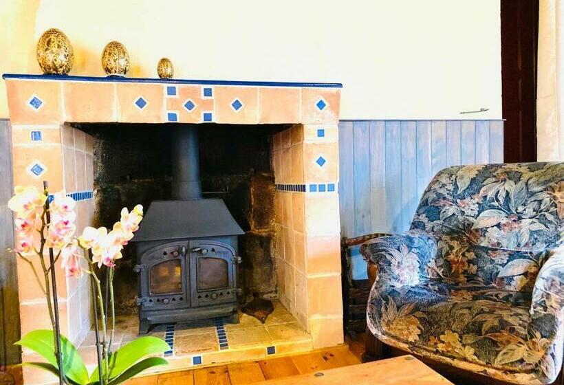 مبيت وإفطار Duguesclin Entre Dinan Et Plages