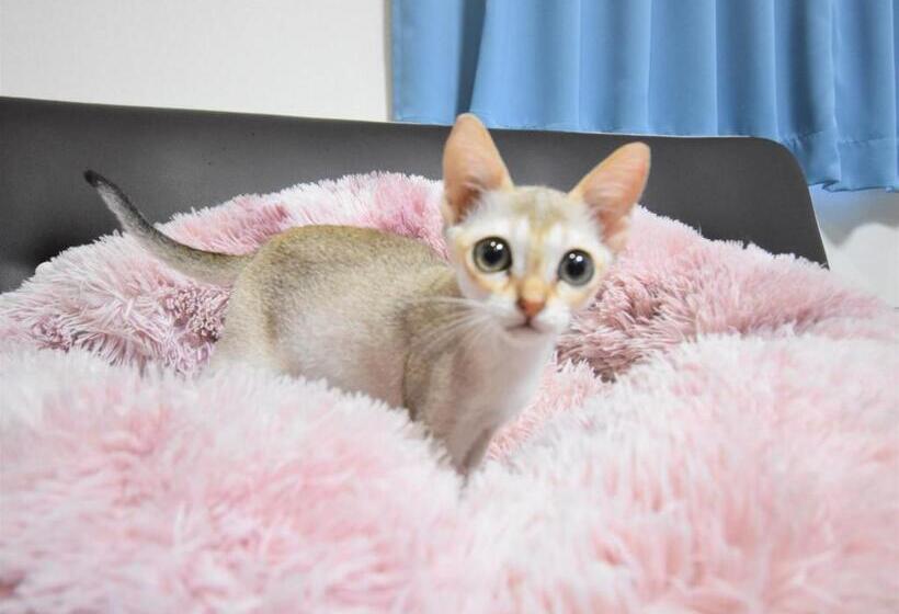 호텔 Regariain Vacation Stay 85010