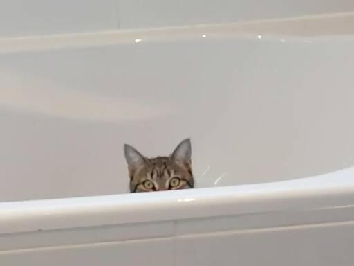 ペンション étape 85