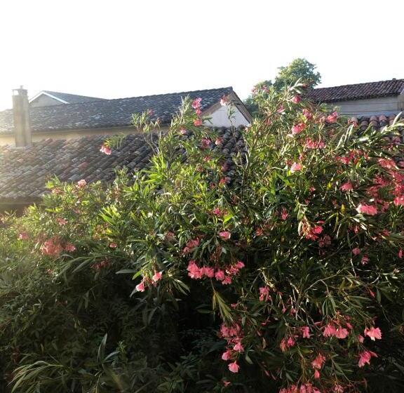 B&b Du Couvent, Vue Château