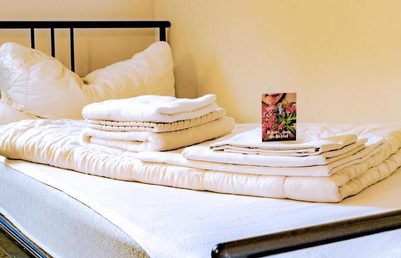 Cvjm Peregrinus Herberge