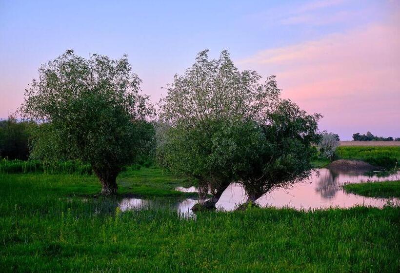 Пансион Dumbrava