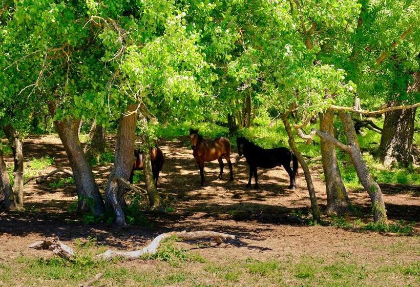 Пансион Dumbrava