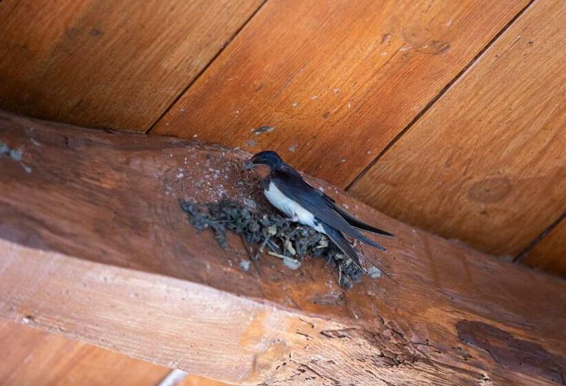 مبيت وإفطار Casa D Oliveira