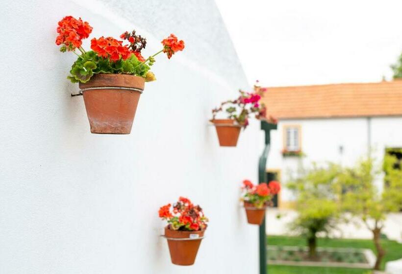 مبيت وإفطار Casa D Oliveira