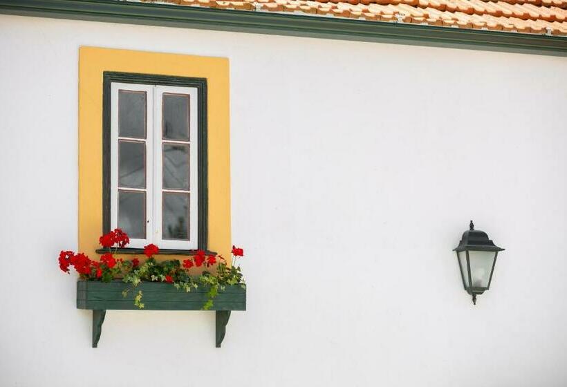 مبيت وإفطار Casa D Oliveira