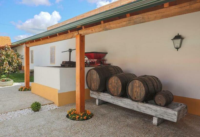 مبيت وإفطار Casa D Oliveira