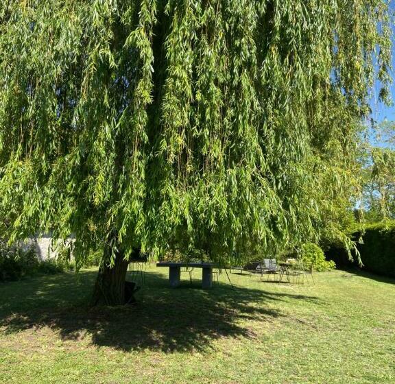 住宿加早餐  Cocon En Lisière De Forêt