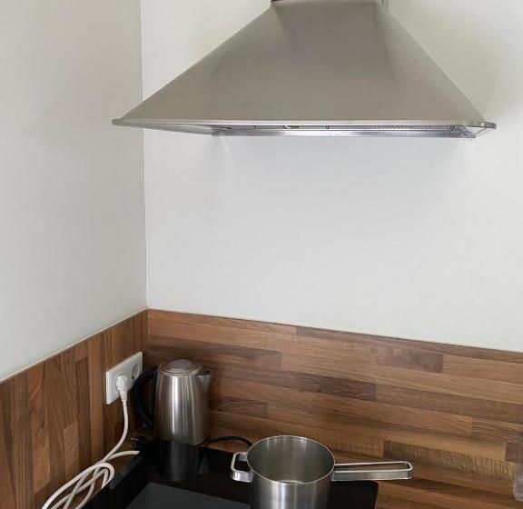 Bed and Breakfast Gastenverblijf De Viking