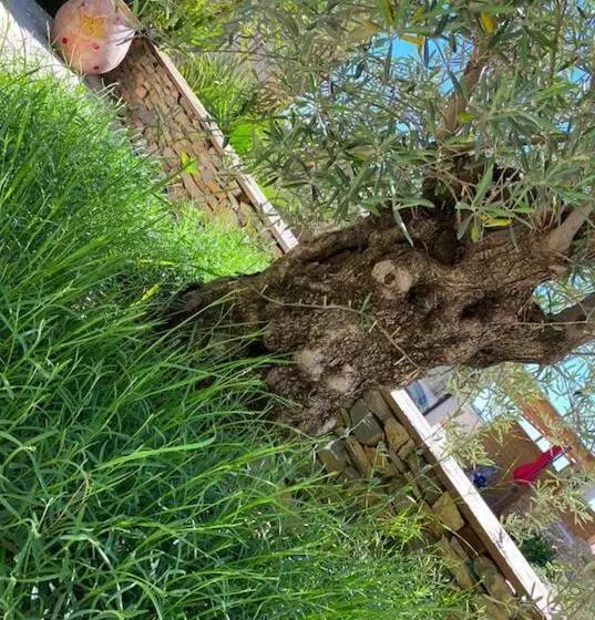 ベッドアンドブレックファースト Le Pool House