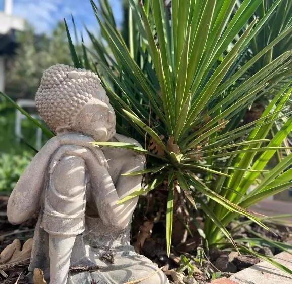 ベッドアンドブレックファースト Mas La Farelle Chambre D Hote,fitness & Salle De Jeux Gratuite & Spa En Supplément