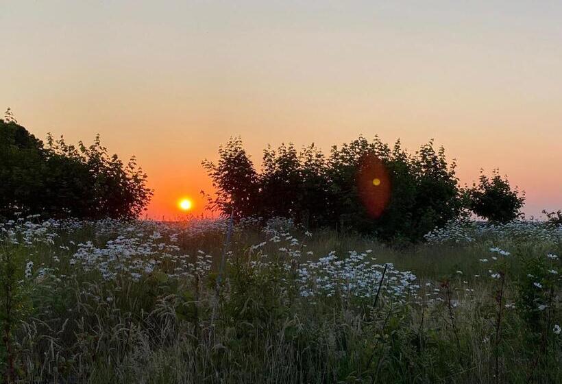 Bed and Breakfast Tanti Baci!