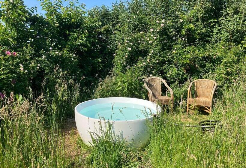 Bed and Breakfast Tanti Baci!