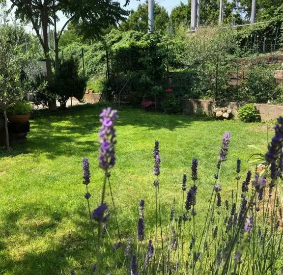 پانسیون Casa Citta