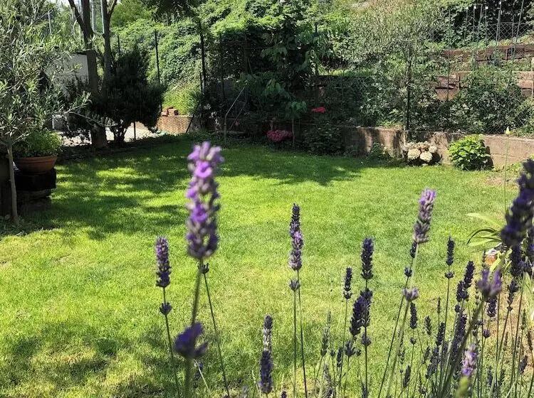 پانسیون Casa Citta