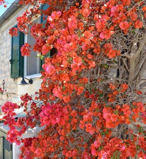 פנסיון Oasi Di Campagna