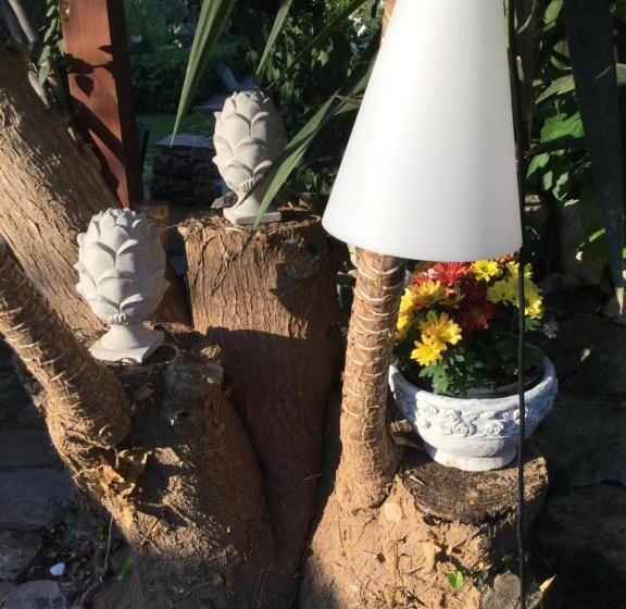 פנסיון Oasi Di Campagna