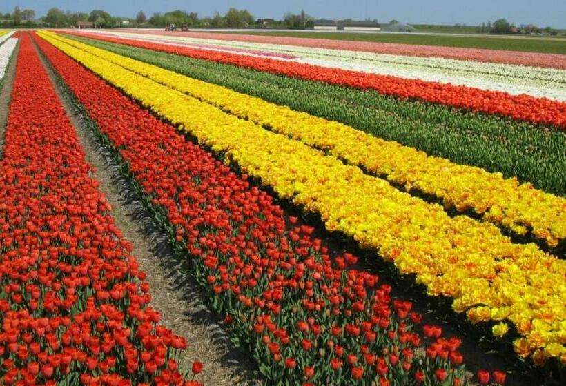 펜션 Prins Heerlijk