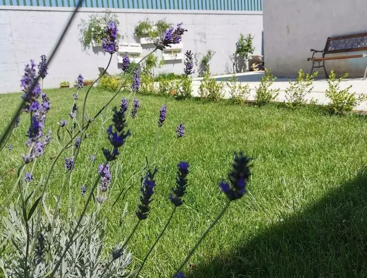 B&b La Casa Bianca