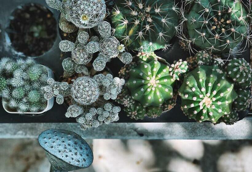 ホテル Fineuphome บ้านพักเหมาหลัง 3 ห้องนอน 2 ห้องน้ำ ห้องครัว ห้องรับแขก ห้องรับประทานอาหาร พร้อมสระว่ายน้