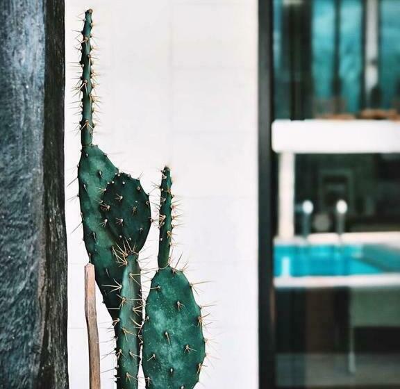 ホテル Fineuphome บ้านพักเหมาหลัง 3 ห้องนอน 2 ห้องน้ำ ห้องครัว ห้องรับแขก ห้องรับประทานอาหาร พร้อมสระว่ายน้