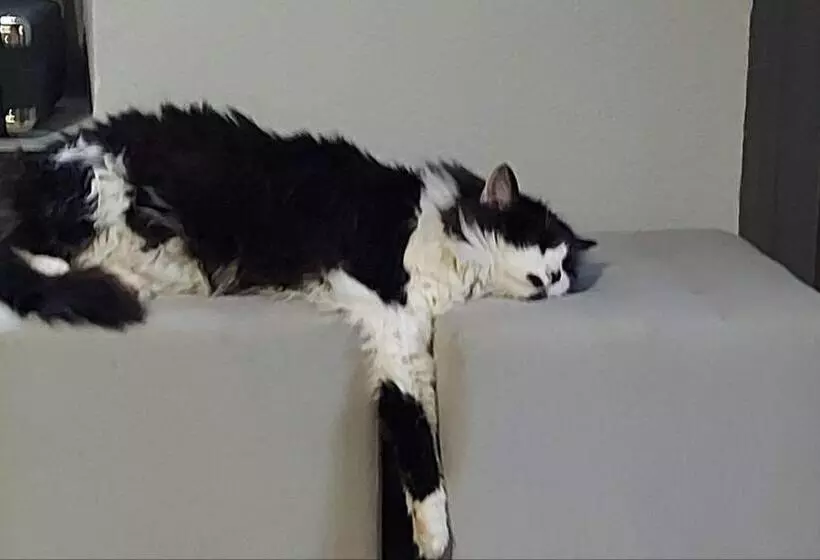 ペンション Domaine Sela