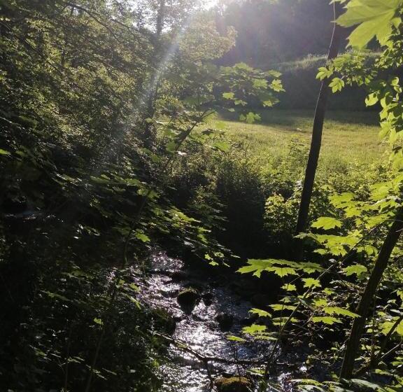 פנסיון Domaine Sela