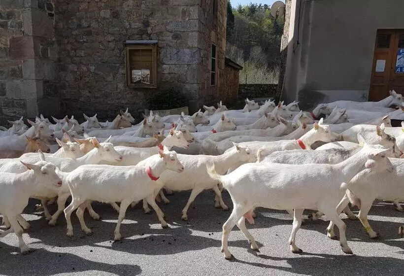 ペンション Domaine Sela