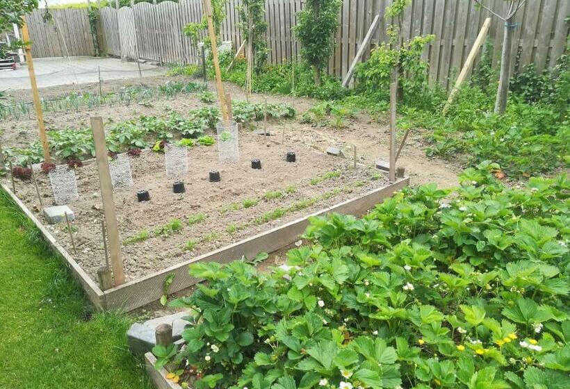 B&b Liberation Margraten