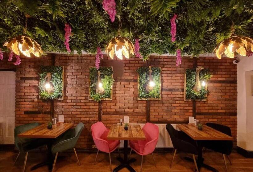 تختخواب و صبحانه Creates