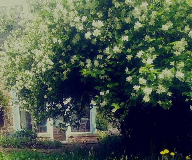 住宿加早餐  Maison Du Tertre