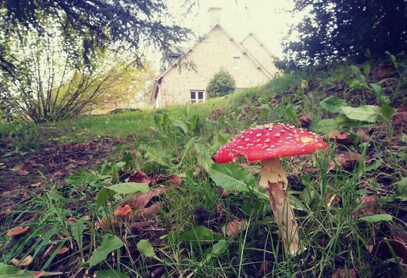 住宿加早餐  Maison Du Tertre