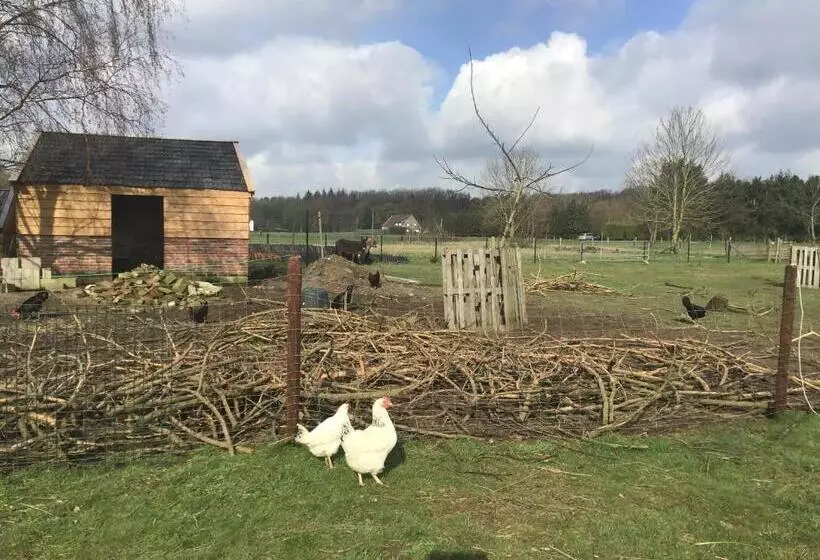 Aamiaismajoitus (B&B) Nergena Zimmer Frei