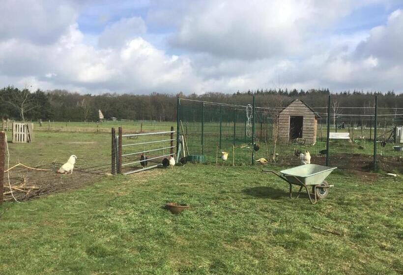 住宿加早餐  Nergena Zimmer Frei