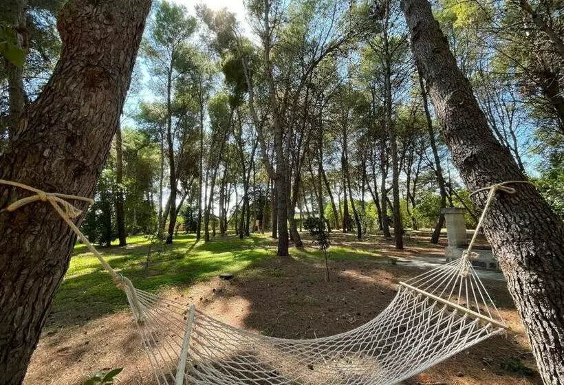 Aamiaismajoitus (B&B) Palazzo De Carlo E Il Parco Dei 7 Pozzi