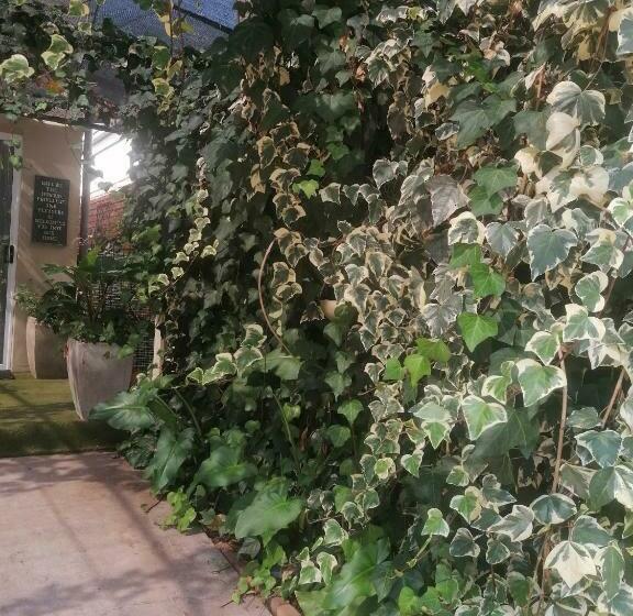 Pension The Oak Treehouse Bnb Queenstown