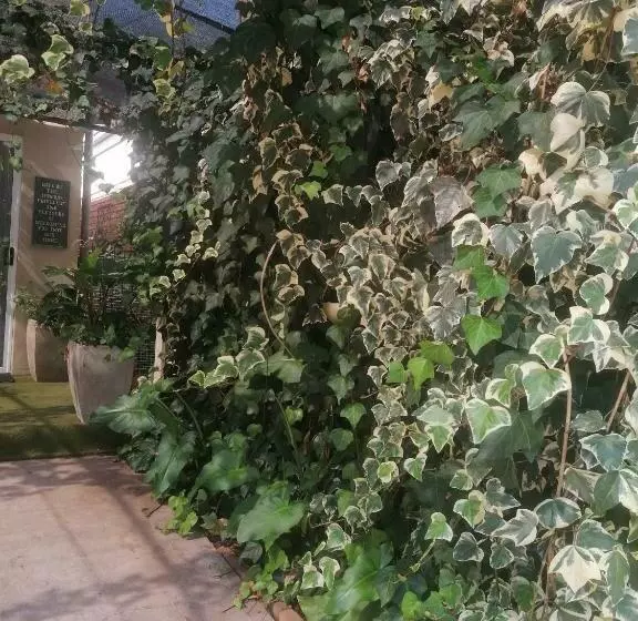 Majatalo The Oak Treehouse Bnb Queenstown