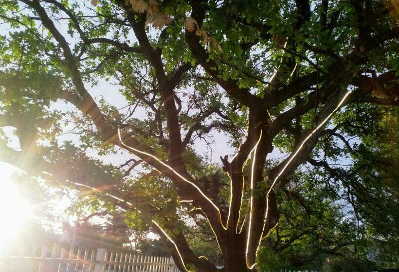 Pension The Oak Treehouse Bnb Queenstown