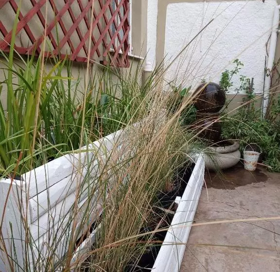 Majatalo The Oak Treehouse Bnb Queenstown