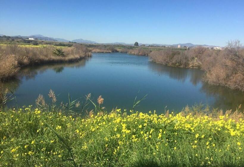 تختخواب و صبحانه Dudi S Peppers