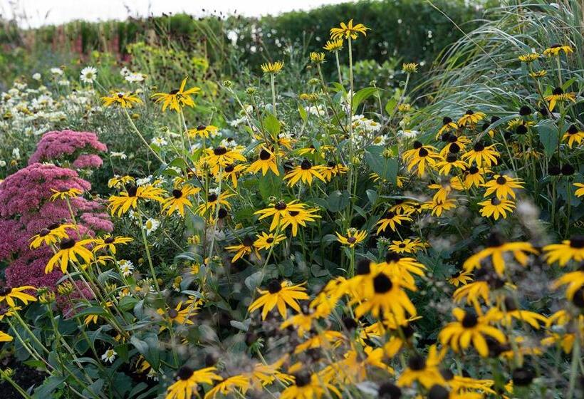 住宿加早餐 Middle Farm House