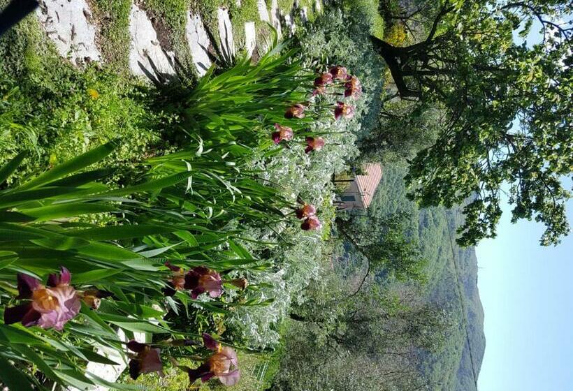 ベッドアンドブレックファースト Pietrantica   Affittacamere Con Giardino Nuova Apertura A Trebiano  Citr